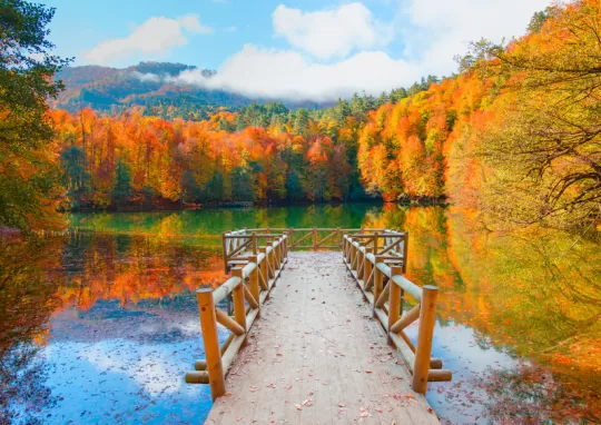 karadeniz turu fiyat