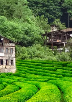 otobüslü karadeniz turu