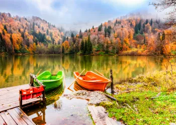 Borçka’ya Nasıl Gidilir? - Karadeniz'in Güzelliğini Keşfetmek İçin Eşsiz Bir Rota