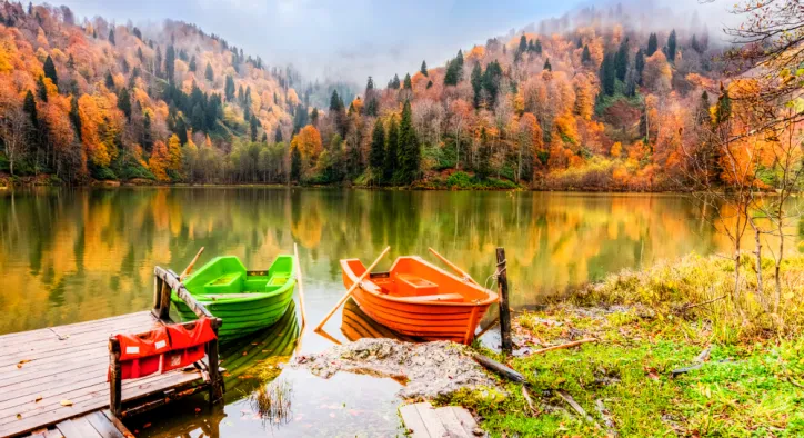 Borçka’ya Nasıl Gidilir? - Karadeniz'in Güzelliğini Keşfetmek İçin Eşsiz Bir Rota