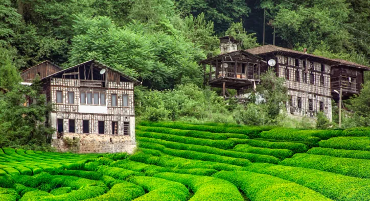 Karadeniz Fotoğraf Turları – Ne Zaman Gitmeli?