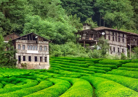 karadeniz turu fırsatları