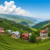 Karadeniz Turuna Hangi Mevsim Gidilir?