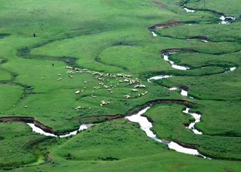 Ordu’nun En Meşhur Yerleri