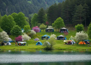 Uzungöl'deki Kamp Alanları: Doğanın Sessiz Sığınaklarında Huzur Bulun